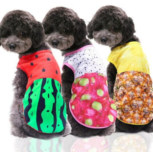 50pcs Small Pet Dog Clothes Vest Down Jacket Cartoon Cute