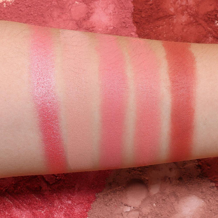 Five colour rouge cheeks red disc matte pearlescent