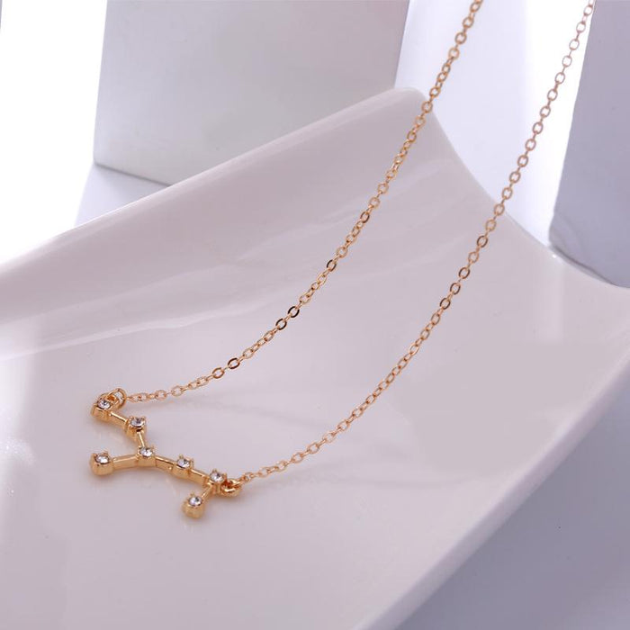 Twelve Constellations Diamond Inlaid Brown Card Clavicle Chain